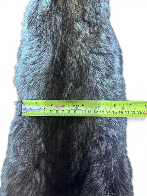 Racoon Hide 5