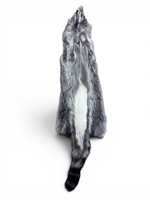 Racoon Hide 5