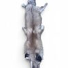 Red Fox Hide 2