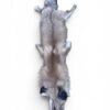Red Fox Hide 2