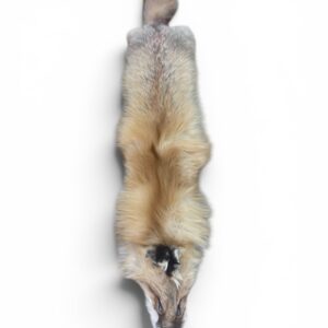 Red Fox Hide 3
