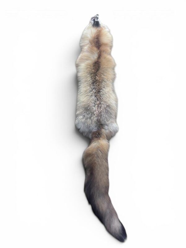 Red Fox Hide 3