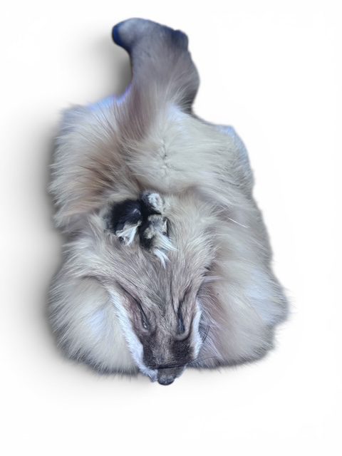 Red Fox Hide 3