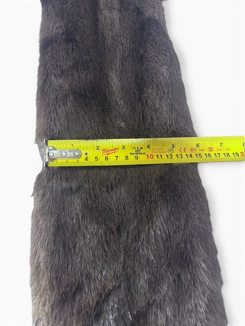 Otter Hide 1