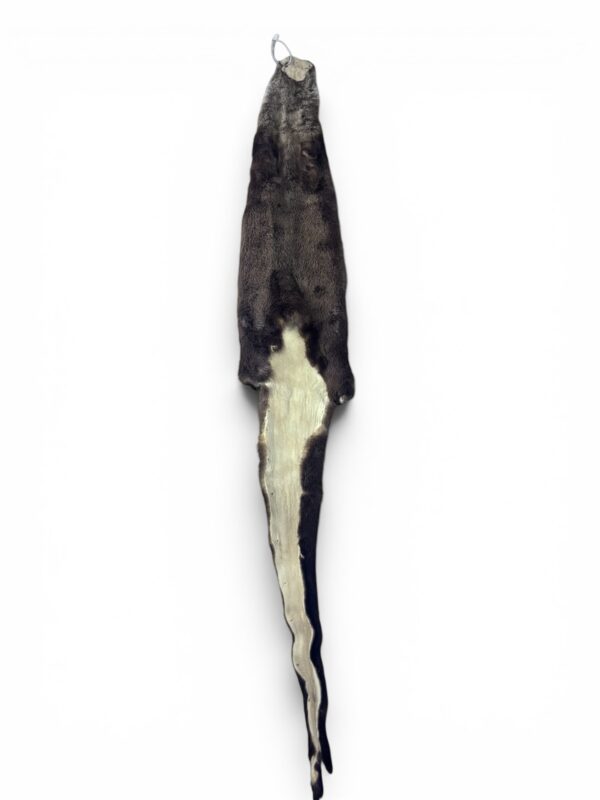 Otter Hide 1