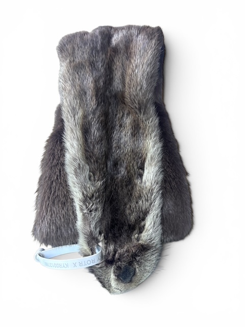 Otter Hide 1