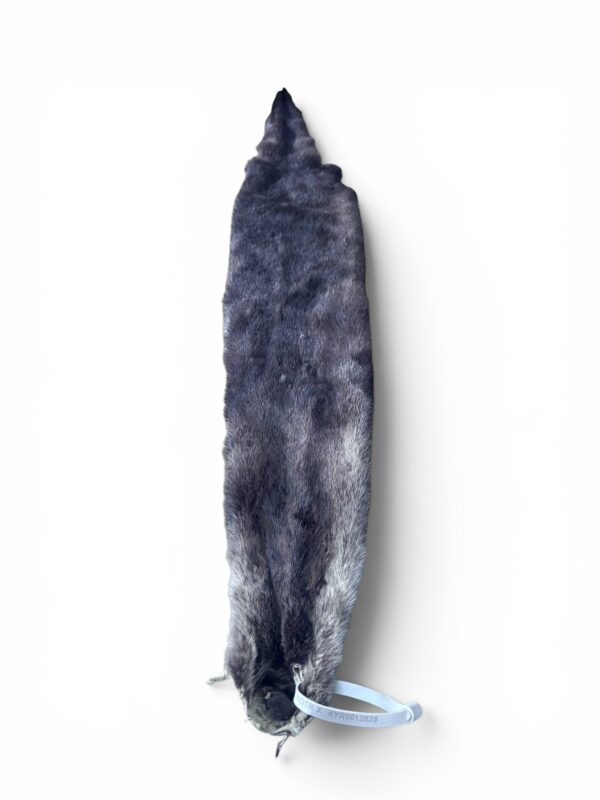 Otter Hide 3