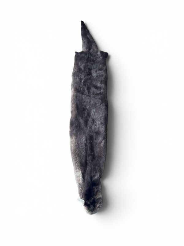Otter Hide 4