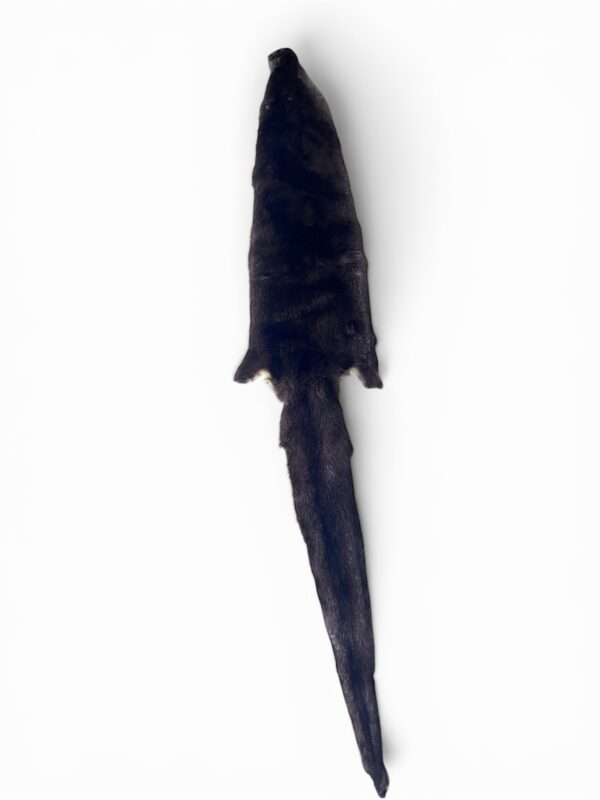 Otter Hide 4