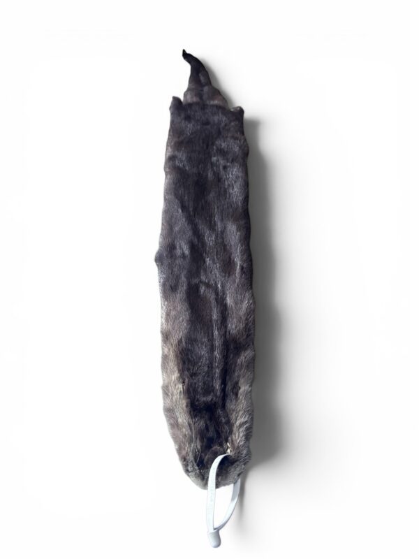 Otter Hide 5
