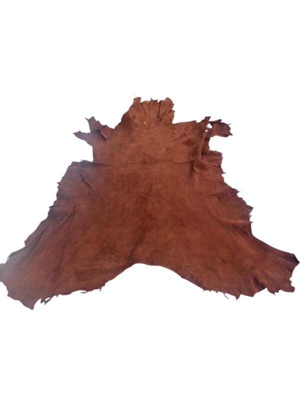 IMG_1121-Photoroom Whiskey Deerskin 8-9 Square Foot #2 grade