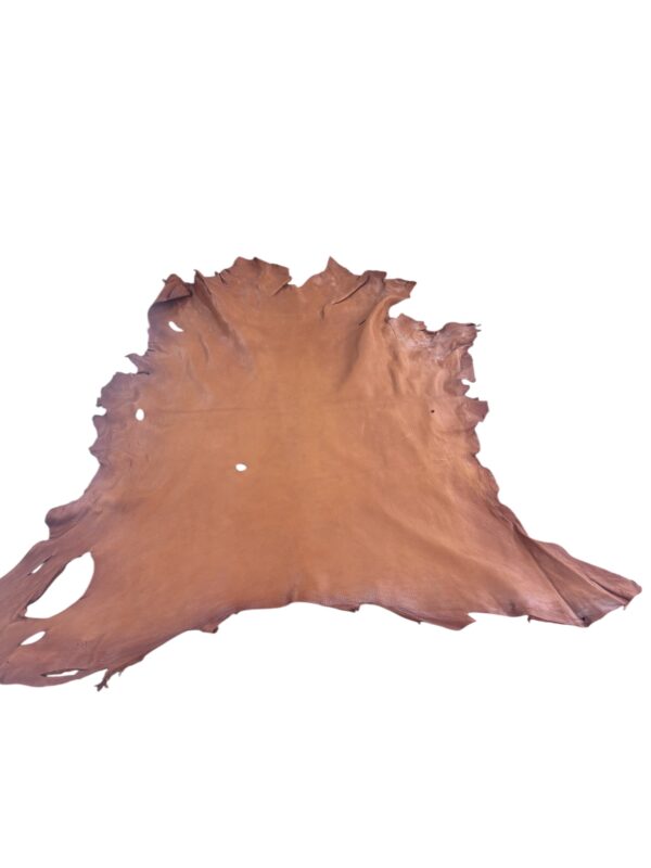 IMG_1123-Photoroom Tobacco Deerskin 8-9