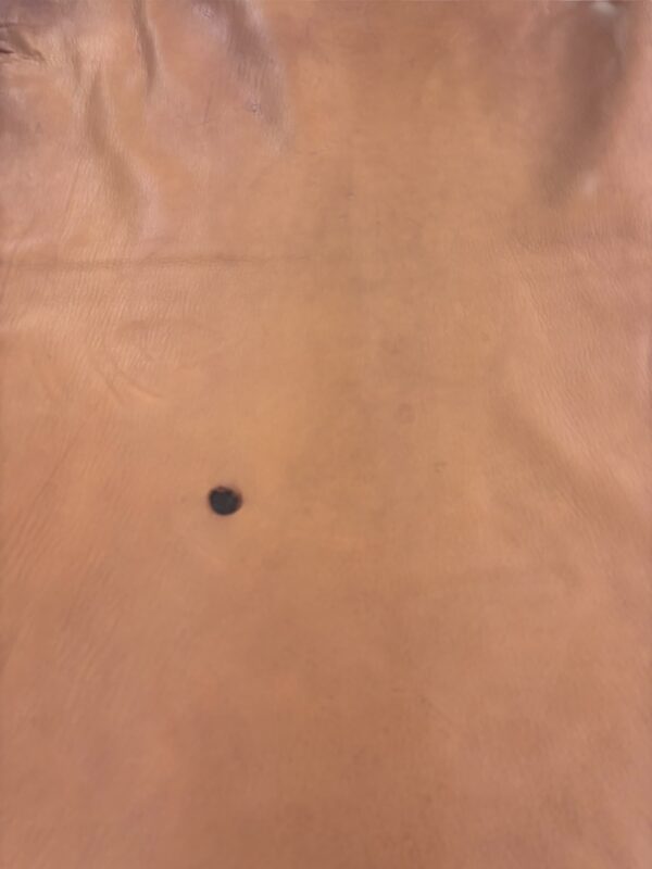 IMG_1125-Photoroom Tobacco Deerskin 8-9 Square Foot #2 grade