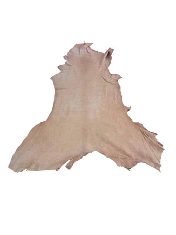 Saddle Deerskin 8-9 sf.